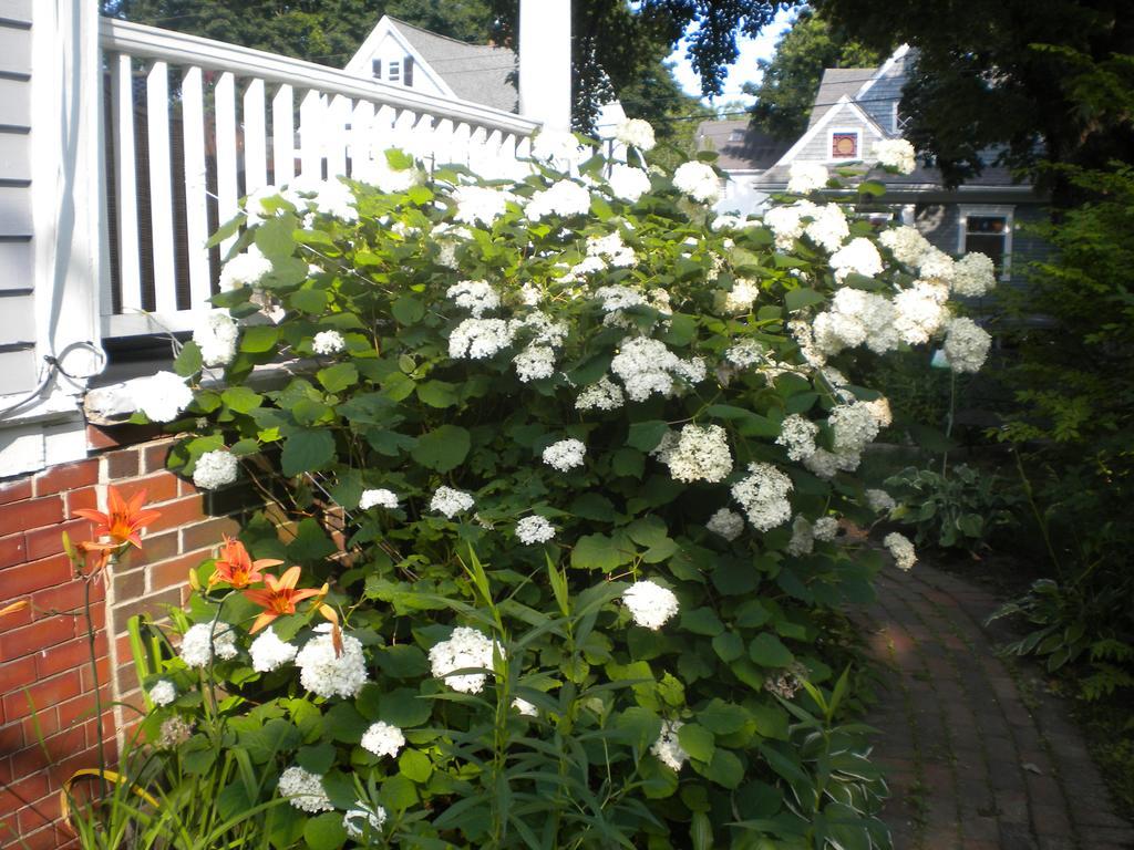 بورتلاند، أوريغون Fleetwood House Bed And Breakfast المظهر الخارجي الصورة